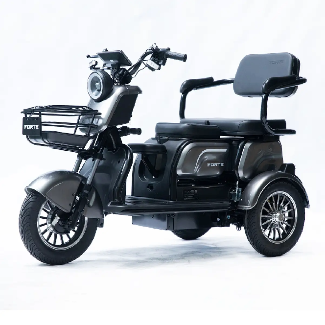 Електротрицикл FORTE FAMILY-P1000