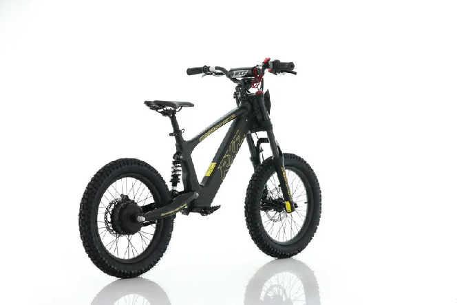 Электромотоцикл APOLLO MOTORS RXF EVO 18