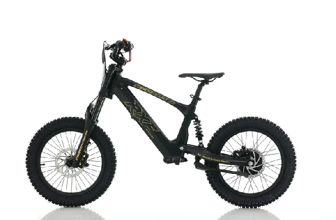 Электромотоцикл APOLLO MOTORS RXF EVO 18
