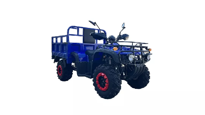 Квадроцикл FORTE ATV 300BS-T