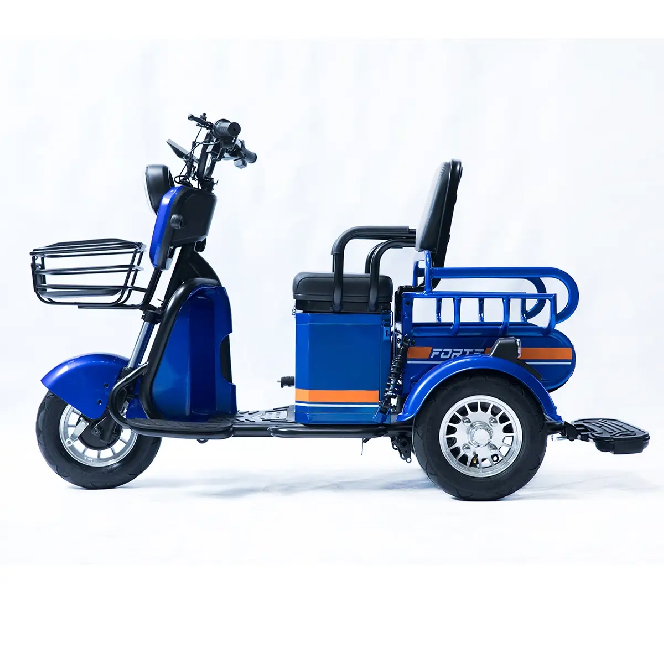 Електротрицикл FORTE CARGO-P650