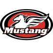 Ремонт и обслуживание мототехники MUSSTANG