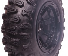 WANDA P390 25x8-12