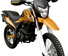 Shineray XY250GY-6C Enduro - золотой