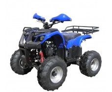 SkyMoto Panda 110 (2x4) - синий