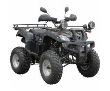 Spark SP175-1