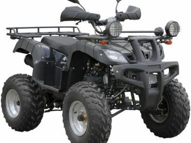 Spark SP175-1