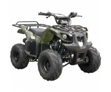 Spark SP110-3