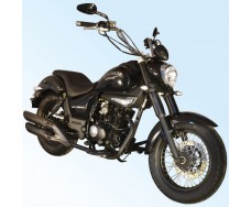 SkyBike Renegade Sport 200