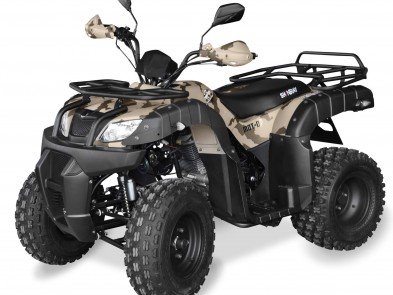 Shineray ROVER 250