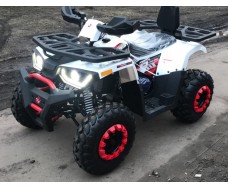 FORTE BRAVES 200