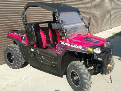 Баггі RZR ML 300 UTV
