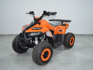Квадроцикл COMMAN B5 MUDHAWK 110
