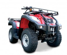 Jianshe 250 ATV-5 Wild Cat Красный