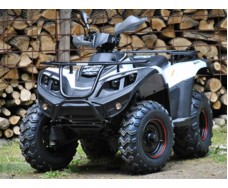 Linhai LH300ATV-3B