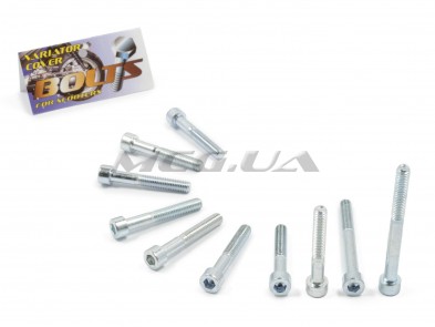 Болты крышки вариатора 4T GY6 150 (шестигранный шлиц, 10шт) 