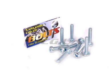 Болты крышки вариатора 4T GY6 50 (крестообразный шлиц, 9шт) 