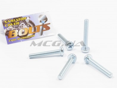 Болты крышки вариатора Honda TACT 16/24/30 (крестообразный шлиц, 5шт) 