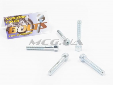 Болты крышки вариатора Honda TACT 16/24/30 (шестигранный шлиц, 5шт) 