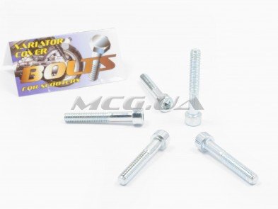 Болты крышки вариатора Honda TACT 16/24/30 (шестигранный шлиц, 5шт) 