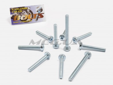 Болты крышки вариатора Suzuki AD50 (шестигранный шлиц, 7шт) 