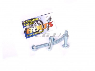 Болты крышки вариатора Suzuki LET'S (крестообразный шлиц, 4шт) 