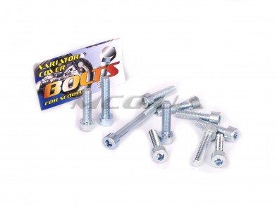 Болты крышки вариатора Yamaha (шестигранный шлиц, 11шт) 