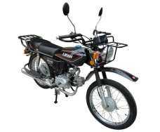 Lifan Ring 100