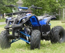 Viper ATV110