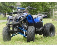 Viper ATV110