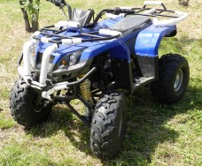 Viper ATV150