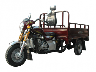 Musstang MT250-4V