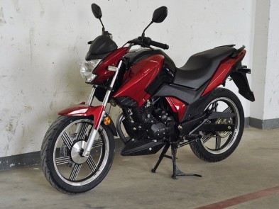 Bashan PILOT 250