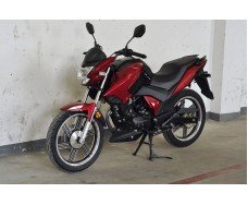 Bashan PILOT 250