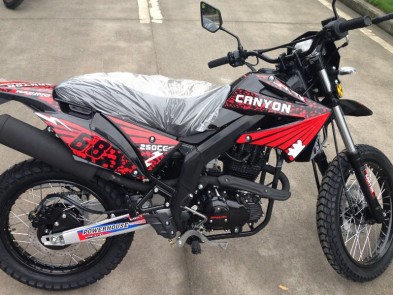 Bashan CANYON 250