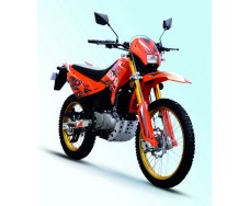 SkyBike LIGER II 200