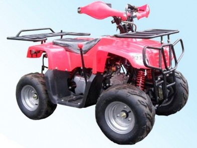 SkyBike Puma 110 (2x4)