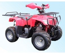 SkyBike Puma 110 (2x4)