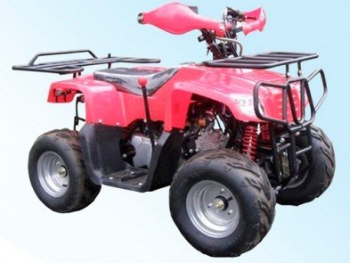 SkyBike Puma 110 (2x4)