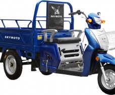 SkyMoto HERCULES - 110 6A