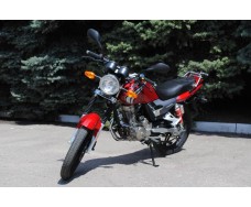 SkyMoto BIRD X5
