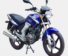 Spark SP150R-22