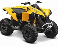 BRP Can-Am Renegade 800 STD