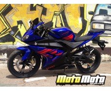 Viper ZS250-R1