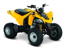 BRP Can-Am DS 250