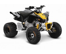 BRP Can-Am MINI DS 90 X