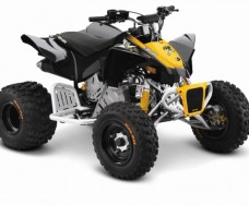 BRP Can-Am MINI DS 90 X