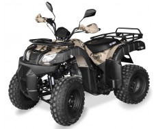 Shineray HARDY ROVER 250