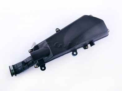 Фильтр воздушный (в сборе) 4T GY6 50 (10