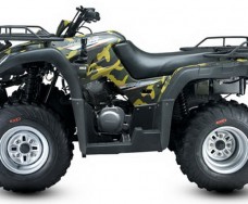 Jianshe 250 ATV-5 Wild Cat Хаки